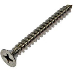 GI Screw 4x10 mm