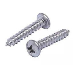Stainless Steel Screw 4X25 mm